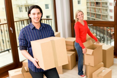 Packing materials and labelled boxes for a Bexleyheath move