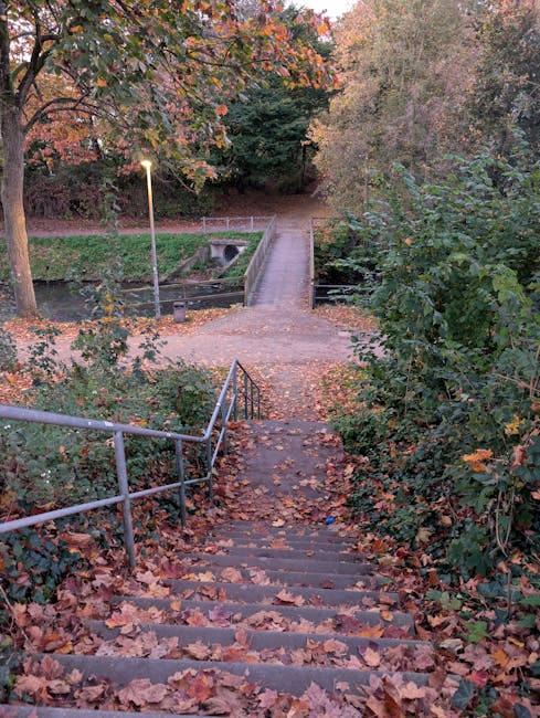 A downward view of a concrete outdoor staircase covered with fallen autumn leaves, descending through a wooded area with overhanging trees, some with reddish and orange foliage. Metal handrails run along both sides of the stairs. At the bottom of the stairs, a narrow paved path continues through a park or garden area, bordered by low walls and greenery. A lamppost illuminates the scene with soft light, indicating early evening or late afternoon, as part of the natural environment. The setting appears peaceful and natural, with no furniture or moving equipment visible, but the scene's clarity and open space suggest an accessible outdoor location near residential or parkland, relevant to home relocation and moving logistics.