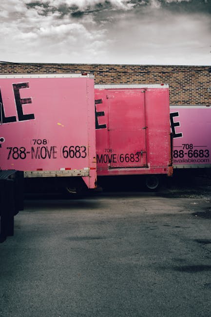 A young man with styled brown hair and a beard is sitting on the edge of a moving truck or storage area, surrounded by stacked cardboard boxes of varying sizes, some taped and others open. He is weari